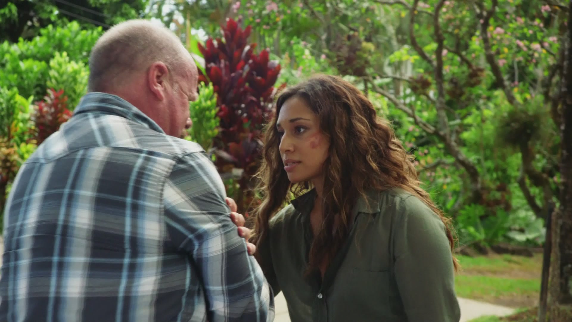 H508x01_0095.jpg