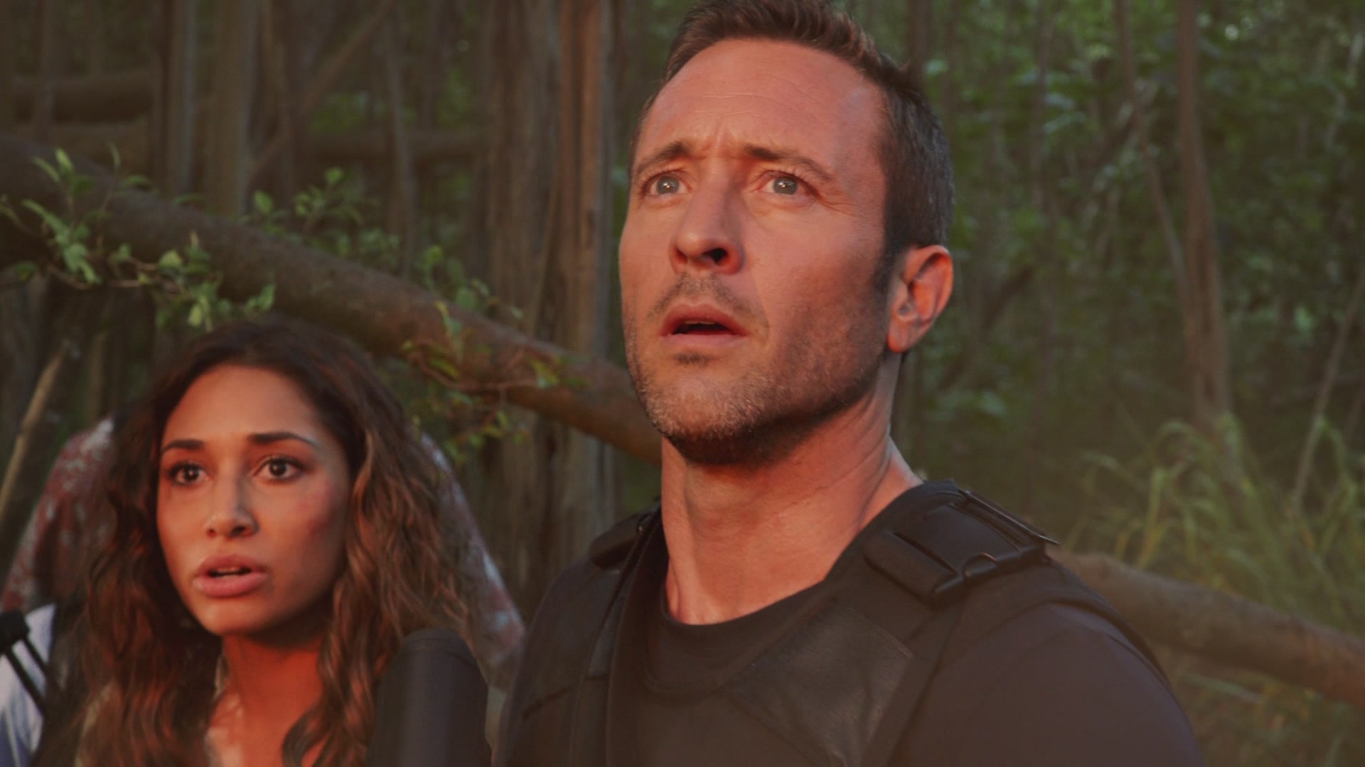 H508x01_0113.jpg