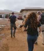 Filename=H508x02_0067.jpg
Filesize=292KiB
Dimensions=1920x1080
Date added=Oct 18, 2017 H508x02_0067.jpg