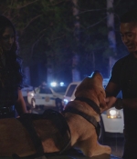 Filename=H508x05_0156.jpg
Filesize=140KiB
Dimensions=1920x1080
Date added=Dec 10, 2017 H508x05_0156.jpg