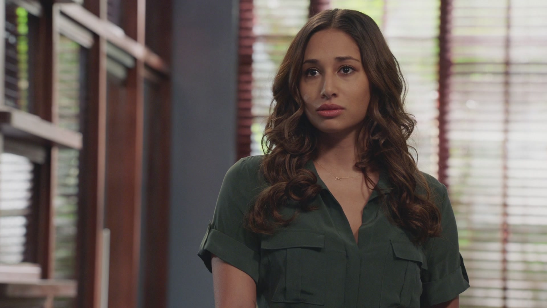H508x06_0036.jpg