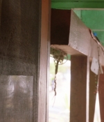 H508x07_0015.jpg
