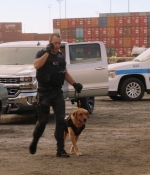 H508x12_0043.jpg