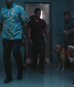 H508x17_0002.jpg