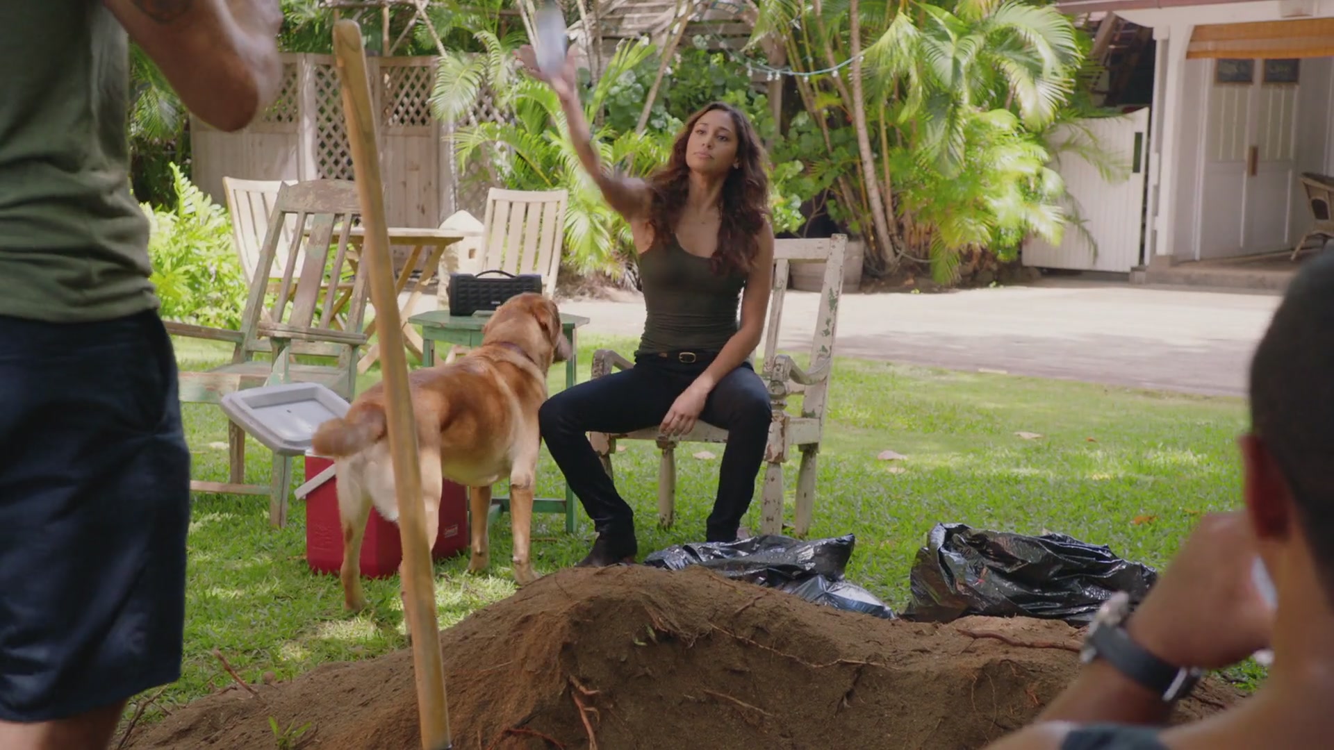 H509x01_0017.jpg